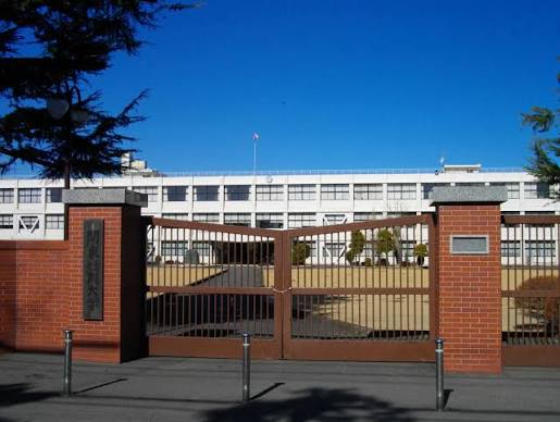 Junior Colleges